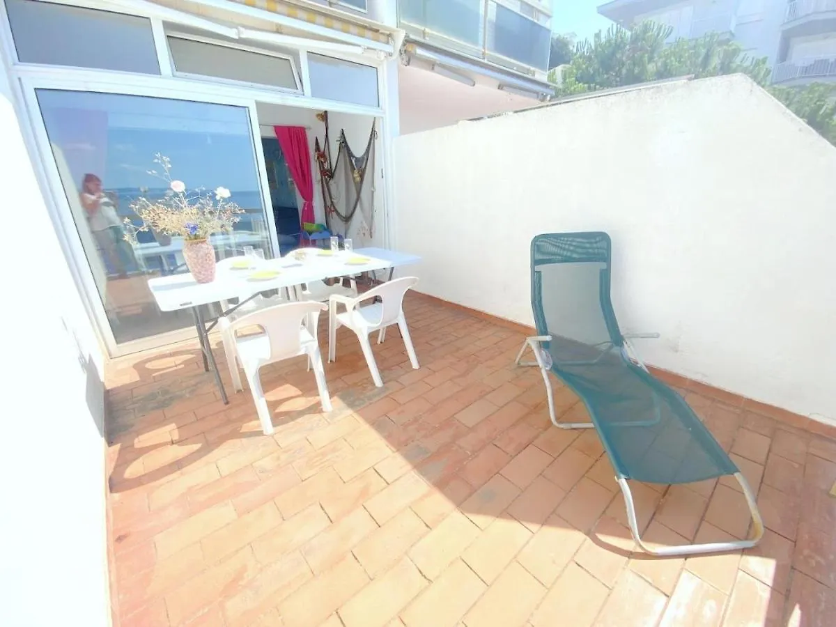 Meda Chica 3J Apartment Roses