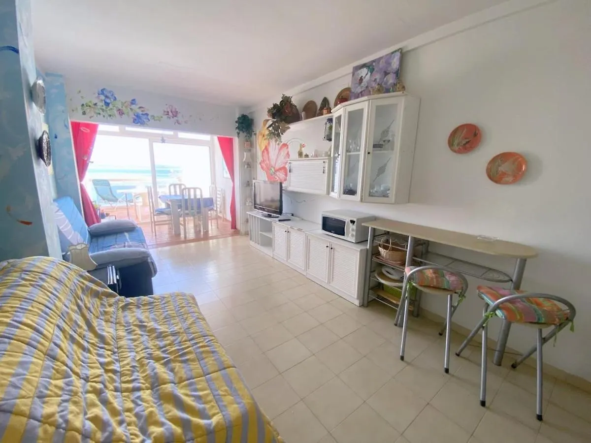 Meda Chica 3J Apartment Roses